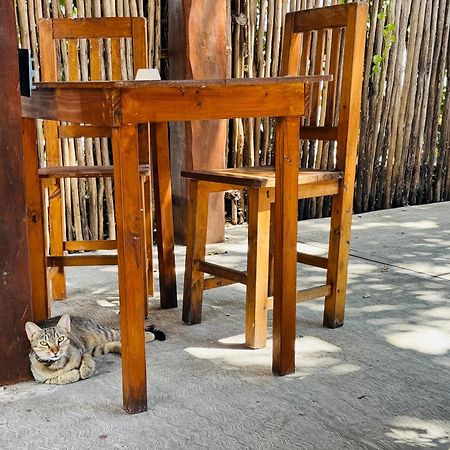 Ahava Hostal Boutique Cancun Exterior photo